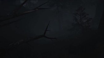 骨灰玩家二狗的直播