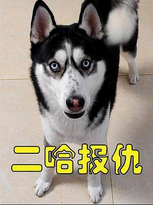 我發(fā)布了一個新視頻，快來圍觀吧！