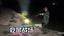 牛人用鼠插灭鼠，一插一个准，鱼塘边变成了吃鼠战场