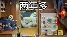 一个人在不到十平米的房车里，蜗居两年半！#孤独美食家 #享受孤独