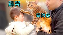 唯一能让宝宝不哭的方法，就是丢给猫来带！