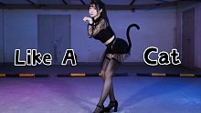 【糖小V】Like a cat猫步轻俏【做你的猫～】
