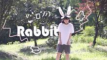 【赫兹】Rabbit【含即兴】