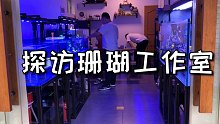 自家车库改造海缸工作室，是心动的感觉