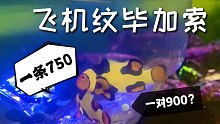 给1000多的新海缸配一对900块的小丑鱼如何？