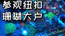 原来纽扣珊瑚大神就离我这么近！带你们去看看，顺便买点回来养