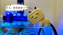 有一只哔哩哔哩小电视正安静的趴在我的鱼缸上