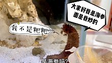 在鱼缸养个海参是什么体验？别看它丑，作用还真不少！