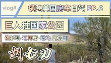 【胡七刀】横跨美国的猛禽清风房车自驾EP.06 ：巨人柱国家公园｜二十米高的巨柱仙人掌｜土桑市｜
