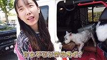 【GLAMIS沙漠VLOG】出发去南加州的GLAMIS沙漠露营啦，小期待一下明天玩沙子！