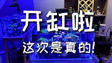 海缸珊瑚小货缸终于开啦，兴奋的搓搓手