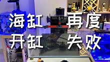 等了两个多月的海缸再度开缸失败，让我哭一会