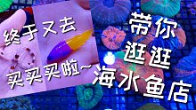 海缸再添新成员！带你逛逛海水鱼店，买珊瑚~