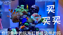 玩海缸只是买买买？其实还能这样！