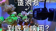 海缸里的造浪泵用处这么大！一起来看看吧！