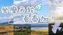 泰加动物园的娱乐区2：一起来坐摩天轮吧！