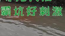 80斤牛血投入三连坑，引来鳗龙鲨鱼一家霸坑，浑水翻涌非常刺激（下）#乡村新景象 #新农人计划