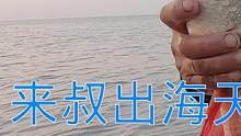 来叔出海天天大收获如遇财神，抓一条鱼就十斤重，海鲜都裹满渔网（上）#乡村新景象 #新农人计划
