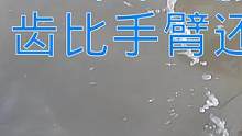 30斤牛血投水坑引来大鳗，凶牙利齿比手臂还粗长，这一条就爆桶了（上）#乡村新景象 #新农人计划