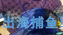 #渔民出海#赶海出海捕鱼野生大货一条接一条，收获大满筐这一趟又挣了上千。