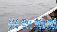#渔民出海 #赶海 兴致勃勃撒下10包渔网，隔天去收网结果真不敢相信。