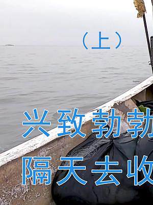#渔民出海 #赶海 兴致勃勃撒下10包渔网，隔天去收网结果真不敢相信。