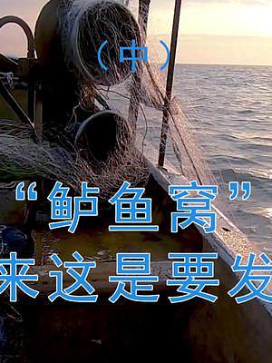 #渔民出海 #赶海 出海撞见“鲈鱼窝”，鲈鱼一条接着一条来，这是要发财的节奏。