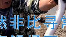 #赶海 #赶海生活 深坑果然非比寻常，抽干后蹿出一条凶猛大海鳗，场面太刺激。