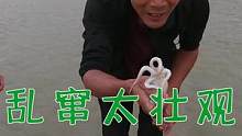 赶海遇鱼群乱窜太壮观，抓到各种美味的好货， 回海景房爆头八爪鱼（中）#乡村新景象 #新农人计划