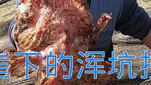 几十米悬崖下水坑浑浊，竟引来“海洋三霸”争食，来叔这饵放对了（中）#乡村新景象 #新农人计划
