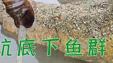 凌晨逛海鲜市场再抽坑，底下鱼群密密麻麻螃蟹爆坑，连抓红斑刺激（下）#乡村新景象 #新农人计划
