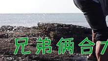 兄弟俩合力舀海边浑坑，450一斤致命毒鱼若隐若现，一旦被刺无药可解（上）#乡村新景象 #新农人计划