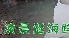 凌晨逛海鲜市场再抽坑，底下鱼群密密麻麻螃蟹爆坑，连抓红斑刺激（上）#乡村新景象 #新农人计划