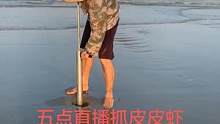 想了解皮皮虾是怎样抓的，五点锁定渔小夫直播间，带你赶海抓皮皮虾#南三渔小夫赶海 #渔小夫抓皮皮虾