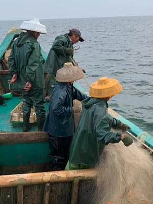 渔小夫出海放流刺网捕鱼，各种稀罕海货纷纷挂网，还抓了不少螃蟹