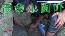 孤岛日月潭海货聚窝遇剧毒物，一旦被刺严重者丧命，小囿吓得全身冒汗（中）#乡村新景象 #新农人计划