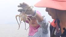 小渔一家出海收笼抓螃蟹，老公在家持家做饭，渔爸出海时遇八爪鱼想起心酸往事#出海 #渔民