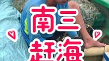 #乡村新景象 嘿，朋友，一起赶海吃螃蟹么咯，我在南三等你