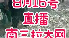 2020湛江开渔节8.16-12:00，渔小夫全程直播南三拉大网#南三渔小夫赶海 #2020湛江开渔