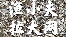 大丰收、大丰收，一网拉起1000多斤鱼，发财啦，欢迎大家来和渔小夫赶海拉大网#南三渔小夫赶海 #吴阳