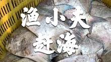 我来自坡头，是一个爱好赶海的青年，我准备晒点鲳鱼干送给支持我的朋友#南三渔小夫赶海 #吴阳拉大网