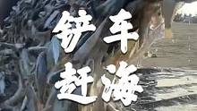 开铲车赶海，这应该是赶海里最豪横的网红吧，大家猜猜这里有多少鱼#南三渔小夫赶海 #湛江南三 #铲车赶