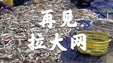 凌晨3点下网的收获，再见了，拉大网