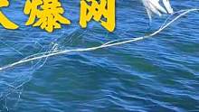 渔小夫出海抓兰花蟹，一路赶海接二连三上货，真的太过瘾了