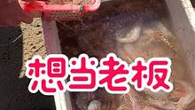 3年前总想做海鲜老板赚大钱，现在只想老老实实做个渔贩卖点鱼过日子