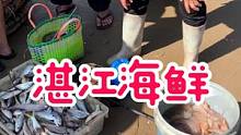不是我吹牛，湛江的海鲜比全国其他地方的海鲜好吃多了，鲜度杠杠滴
