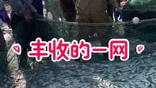 这辈子没什么文化，只能靠打渔为生，今天这一网丰收了，谁要吃海鲜来我家