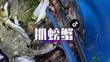 长视频来啦，咱们一起抓螃蟹去吧 #这个视频有点料