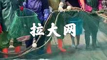 终于开网了！2021年第一网，网友期待已久的拉大网又回来啦，一起来感受现场气氛#南三渔小夫赶海 #吴