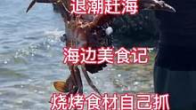 #海边生活才够浪 #赶海 #抓螃蟹 海边野炊，自给自足